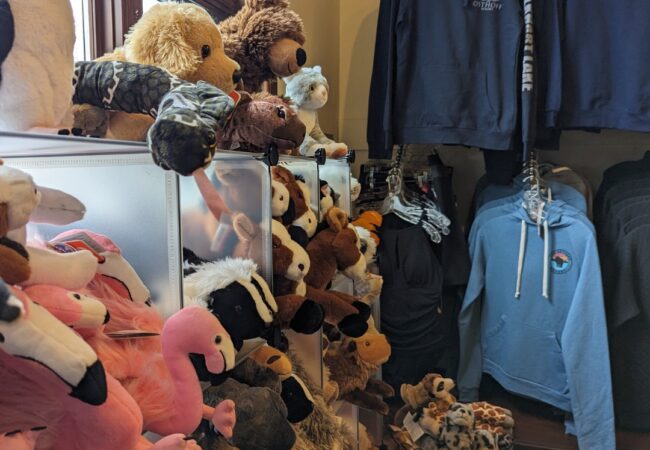 486824753_1067990225369086_6995128691568803677_n