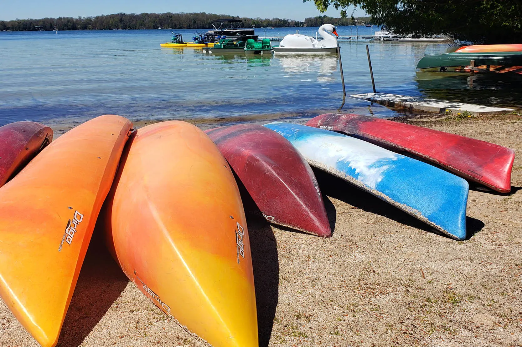 Two‑ to three‑person canoe rental at The Osthoff Resort & Spa