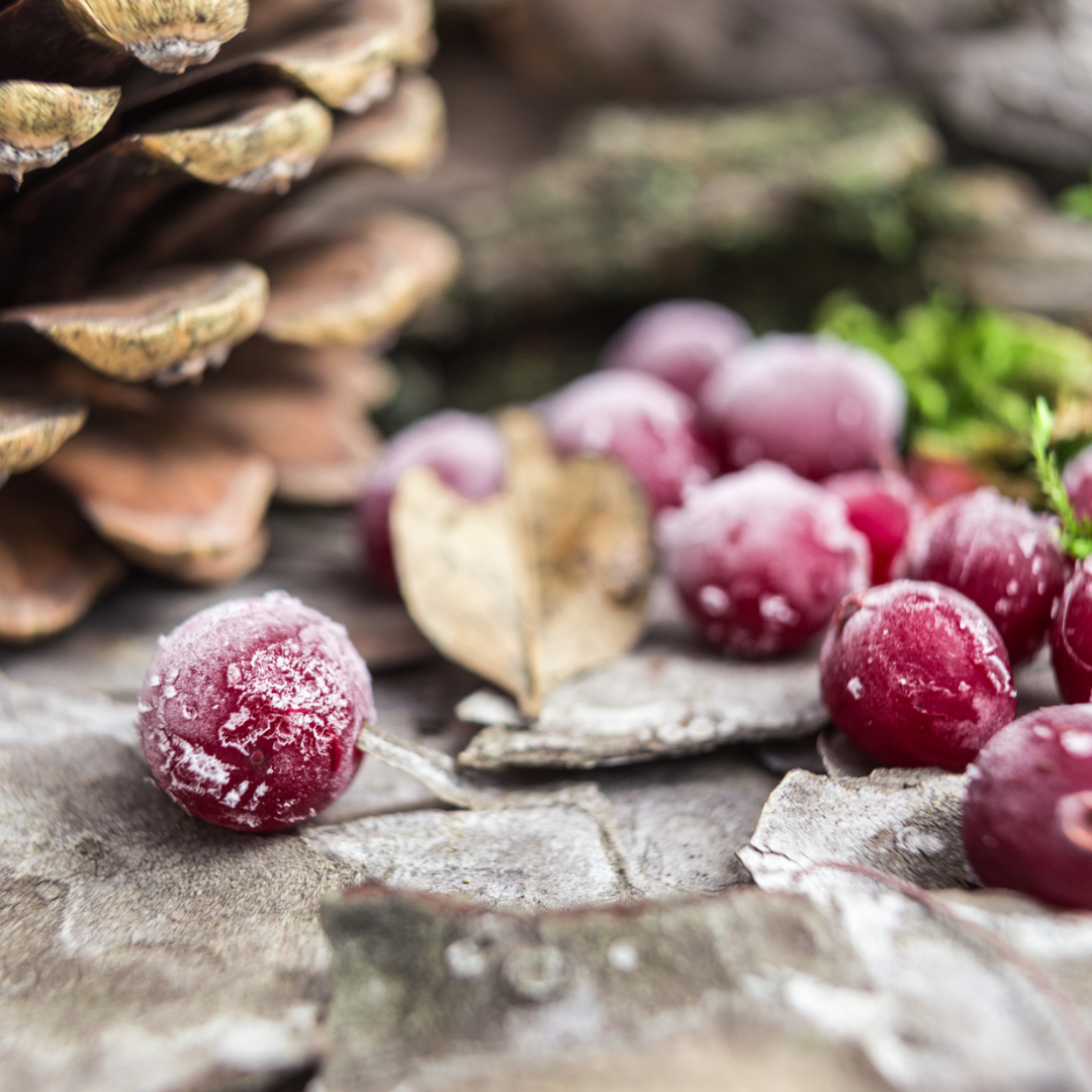 Signature Cranberry Facial