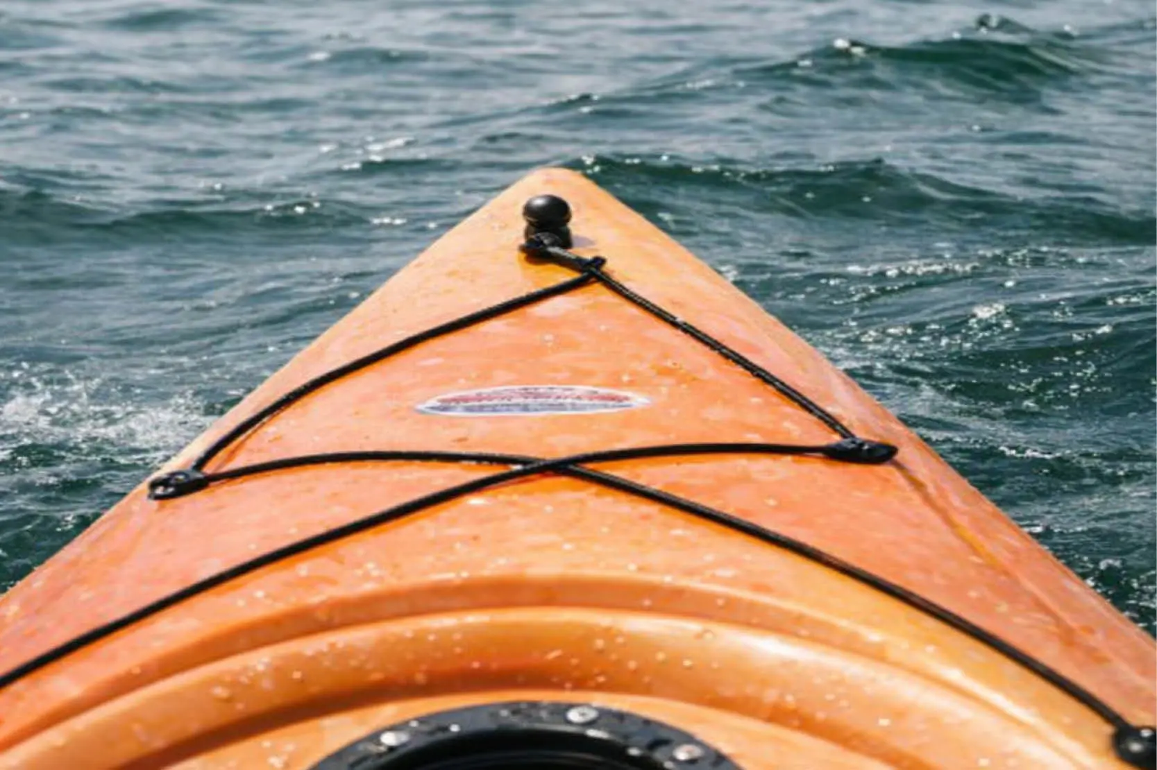 Two‑person pedal kayak rental at The Osthoff Resort & Spa