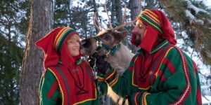 Reindeer Reindeer