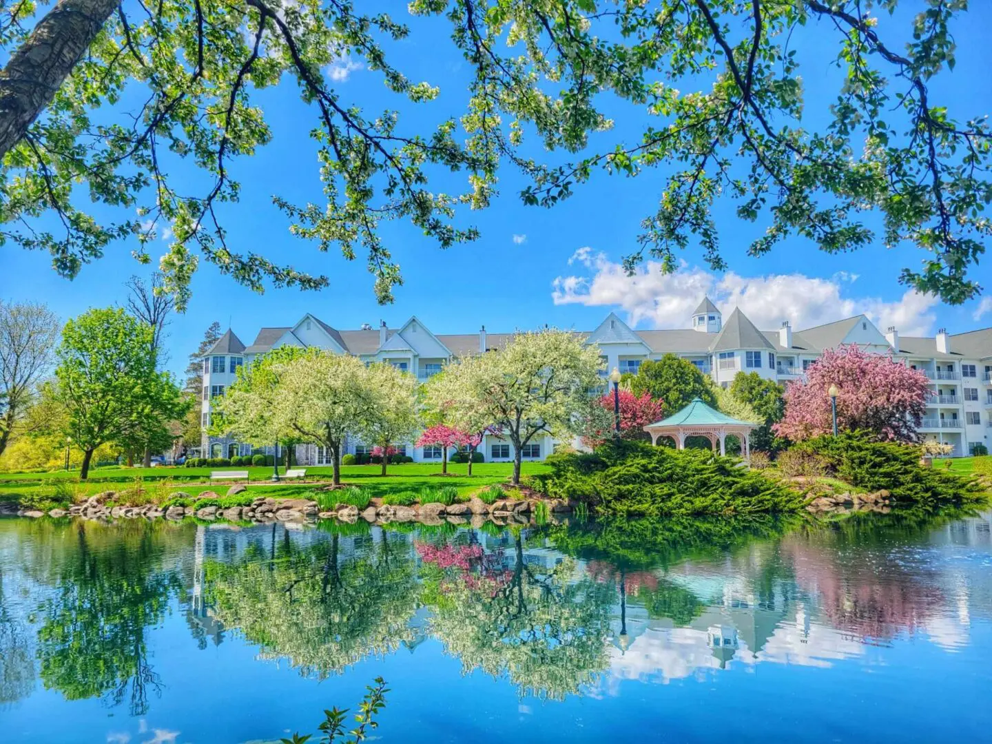 Springtime view from a spacious suite at The Osthoff Resort, showcasing scenic surroundings and a relaxing seasonal getaway.