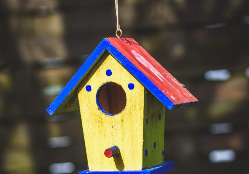 An old weathered DIY birdhouse hanging from the tree. Colorful small bird house with red roof, yellow walls and blue spots.
