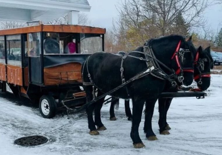 Horse‑drawn holiday wagon ride through the village of Elkhart Lake with families enjoying cocoa, cookies, and seasonal charm