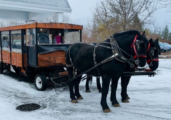 horse drawn wagon ride