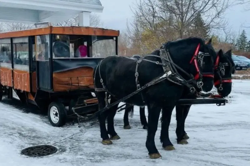 Horse‑drawn holiday wagon ride through the village of Elkhart Lake with families enjoying cocoa, cookies, and seasonal charm