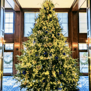 tree lighting America's Christmas Tree in the Elk Room