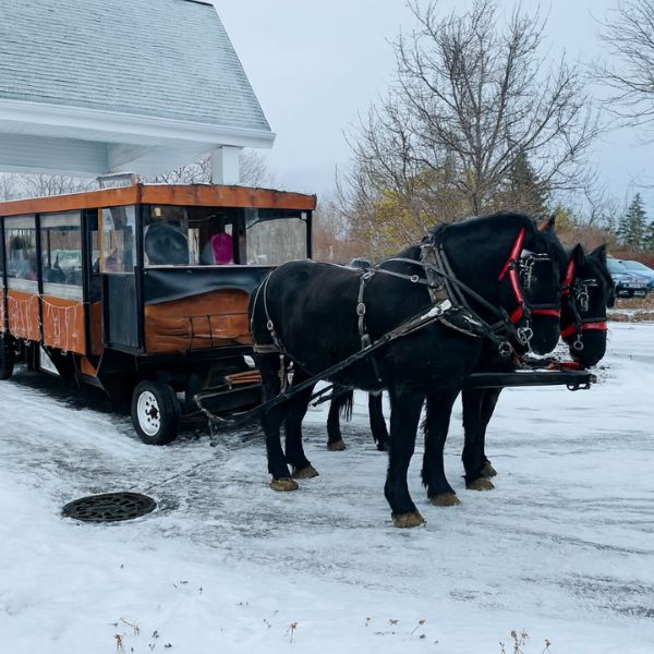 horse drawn wagon ride